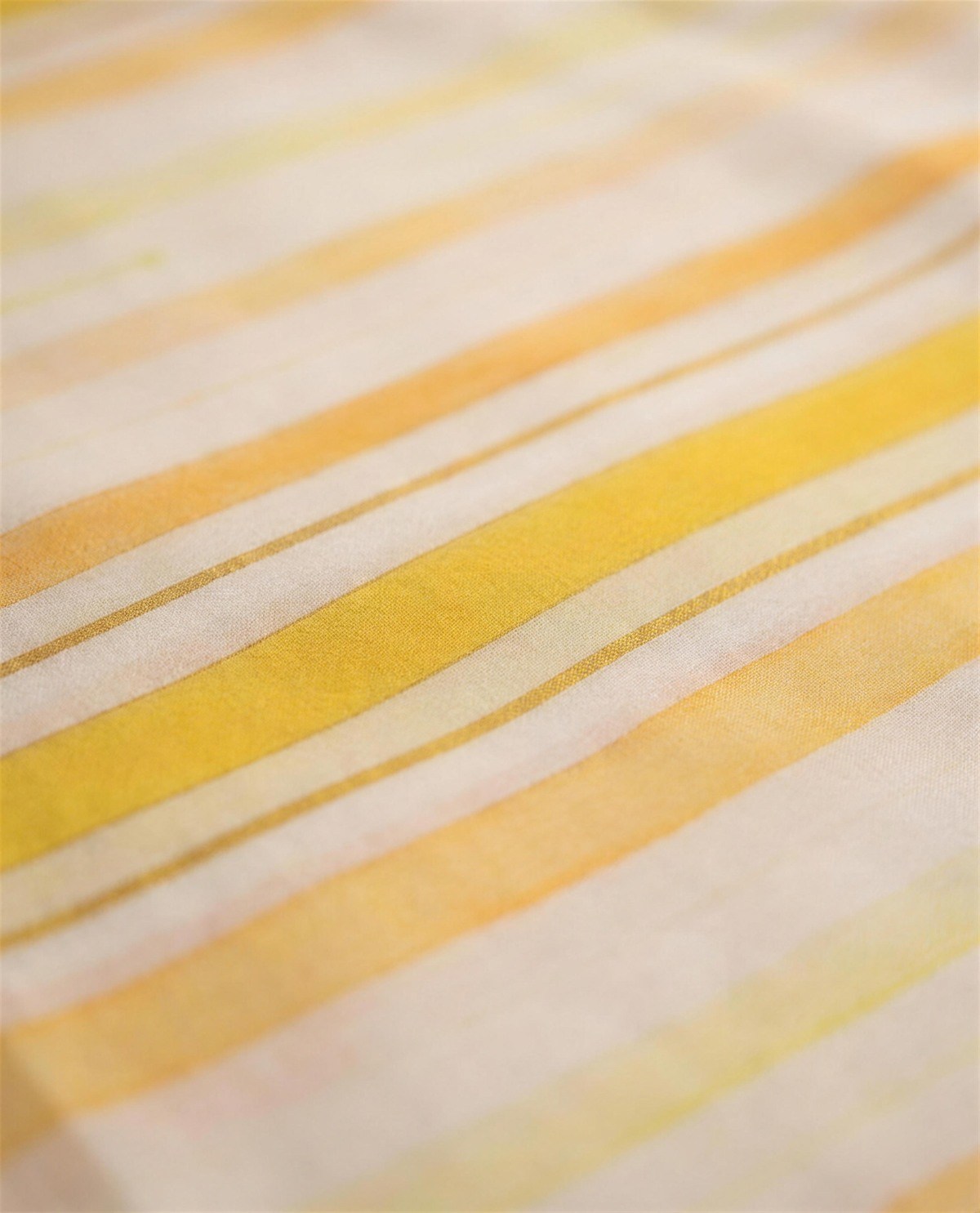Ivory Gold Stripe Tissue Saree, Detail